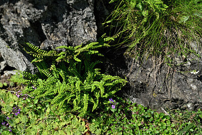 BUITEN BEELD Foto: 448760