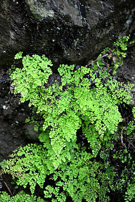 BUITEN BEELD Foto: 448761