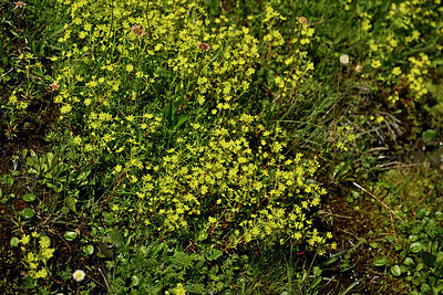 BUITEN BEELD Foto: 448768