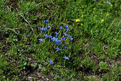 BUITEN BEELD Foto: 448773