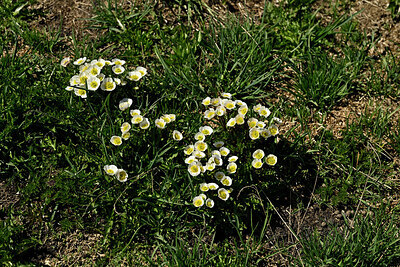 BUITEN BEELD Foto: 448777