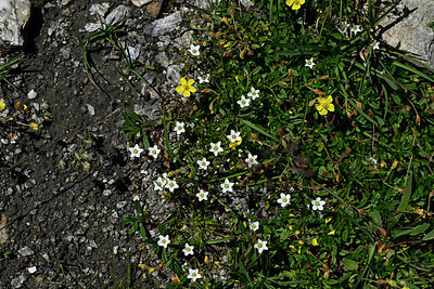BUITEN BEELD Foto: 448778