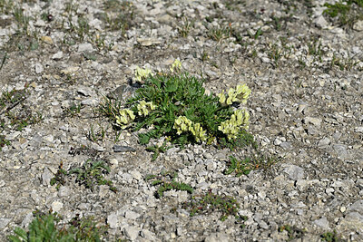 BUITEN BEELD Foto: 448788