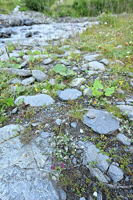 BUITEN BEELD Foto: 448791