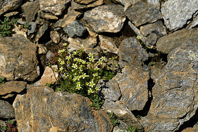 BUITEN BEELD Foto: 448795