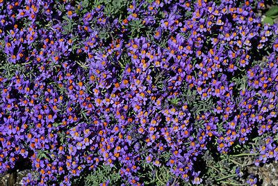 BUITEN BEELD Foto: 448796