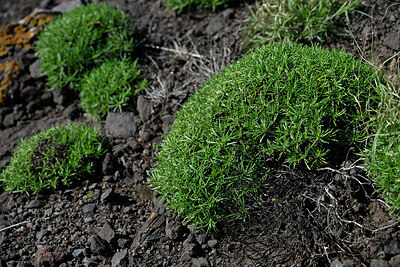 BUITEN BEELD Foto: 448803