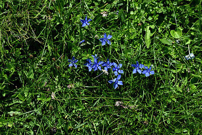 BUITEN BEELD Foto: 448806