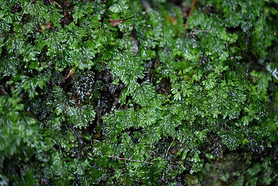 BUITEN BEELD Foto: 448812