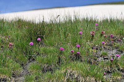 BUITEN BEELD Foto: 448816