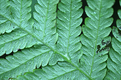 BUITEN BEELD Foto: 448825