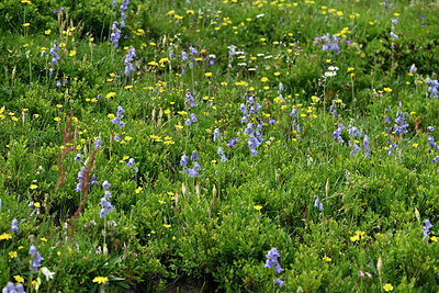 BUITEN BEELD Foto: 448832
