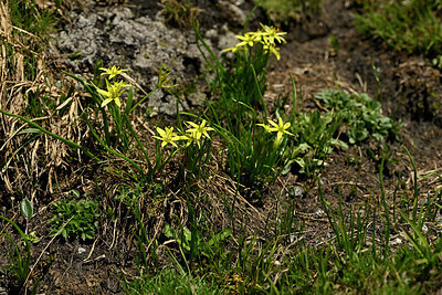 BUITEN BEELD Foto: 448851