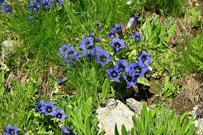 BUITEN BEELD Foto: 448858