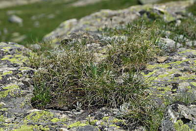 BUITEN BEELD Foto: 448864