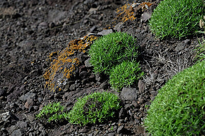 BUITEN BEELD Foto: 448867