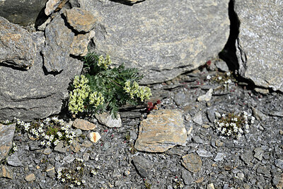 BUITEN BEELD Foto: 448874