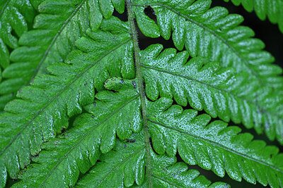 BUITEN BEELD Foto: 448884