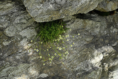 BUITEN BEELD Foto: 448893