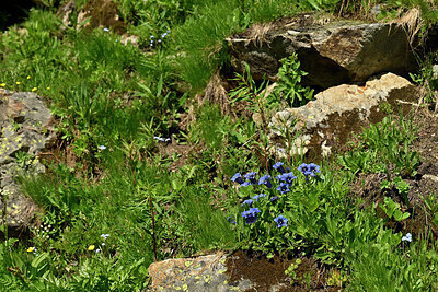 BUITEN BEELD Foto: 448898