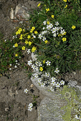 BUITEN BEELD Foto: 448900