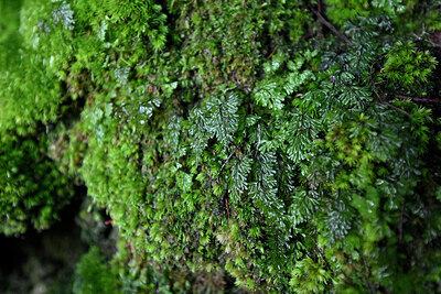 BUITEN BEELD Foto: 448902
