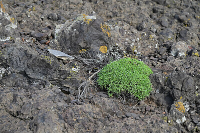 BUITEN BEELD Foto: 448923