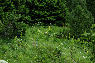 BUITEN BEELD Foto: 448925