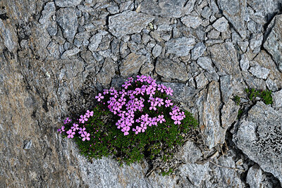 BUITEN BEELD Foto: 448928