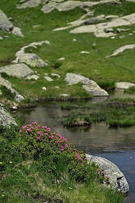 BUITEN BEELD Foto: 448937