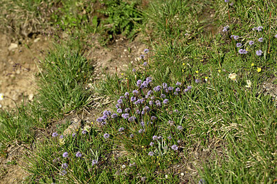 BUITEN BEELD Foto: 448941