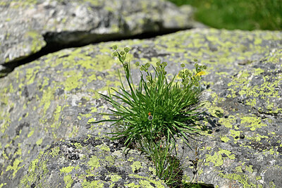 BUITEN BEELD Foto: 448945
