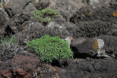 BUITEN BEELD Foto: 448948