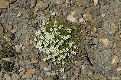 BUITEN BEELD Foto: 448952