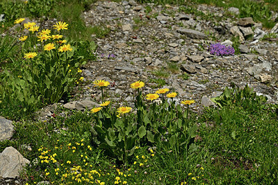 BUITEN BEELD Foto: 448955