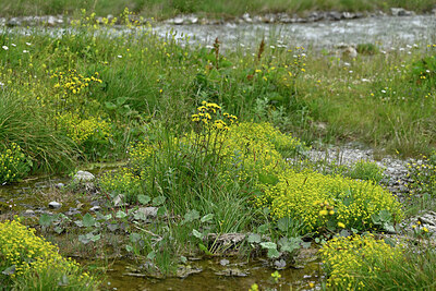 BUITEN BEELD Foto: 448959