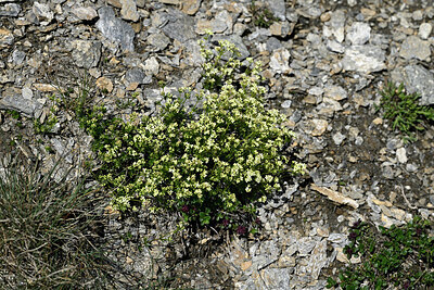 BUITEN BEELD Foto: 448977