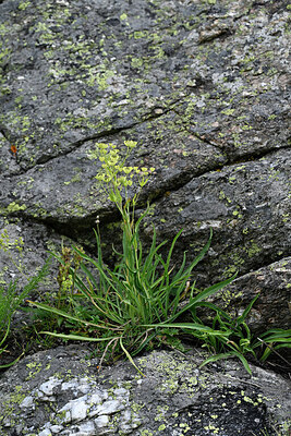BUITEN BEELD Foto: 448986