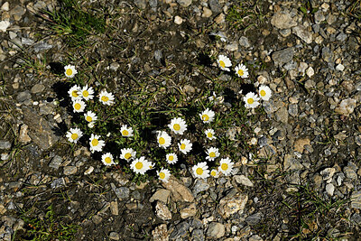 BUITEN BEELD Foto: 448991