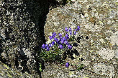 BUITEN BEELD Foto: 448994
