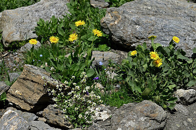 BUITEN BEELD Foto: 448995
