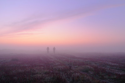 BUITEN BEELD Foto: 44007