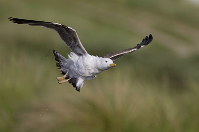 BUITEN BEELD Foto: 44024