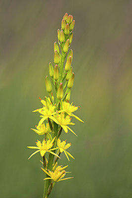 BUITEN BEELD Foto: 44040