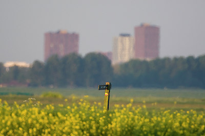 BUITEN BEELD Foto: 44075
