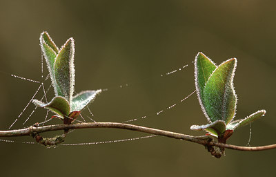 BUITEN BEELD Foto: 44092