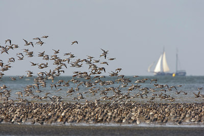 BUITEN BEELD Foto: 44125