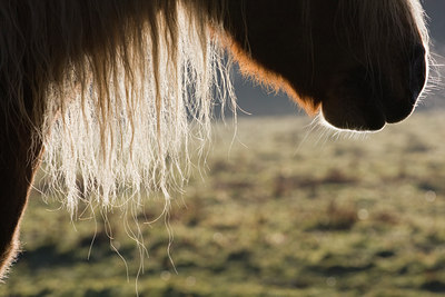 BUITEN BEELD Foto: 44158