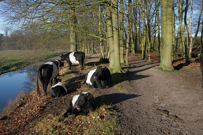 BUITEN BEELD Foto: 44176