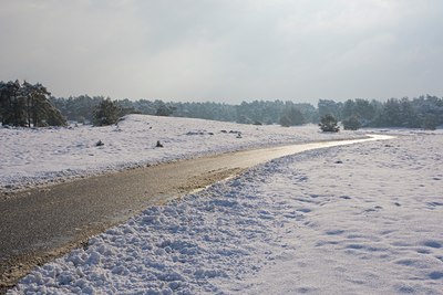BUITEN BEELD Foto: 44196